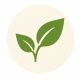 Natural health philosophy